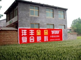 武功如何让墙体广告展现最大化效果