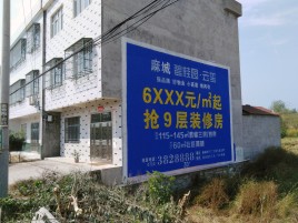 武功墙体广告质量分析