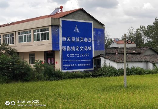 武功决定墙体广告价格的因素有哪些?