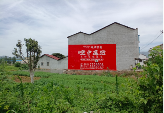 武功做墙体广告的意义