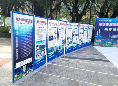 武功KT板的种类和知识。